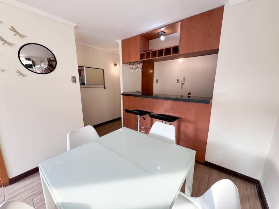 Hermoso Departamento Barrio Lastarria Santiago