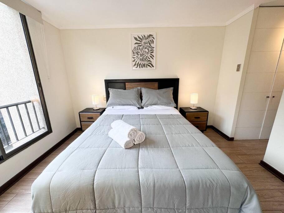 Hermoso Departamento Barrio Lastarria Santiago